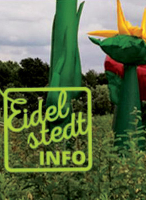 Ein Jahr Eidelstedt.info - wie geht es weiter?